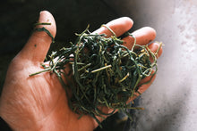 Load image into Gallery viewer, 2023-511 広島藪北手摘み和紅茶(発酵浅い)LOT NO.425 - TEA FACTORY GEN