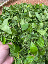 Load image into Gallery viewer, 自然栽培 2024 新茶 広島在来清茶 2024-514 NO.445 - TEA FACTORY GEN