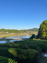 Load image into Gallery viewer, 自然栽培 2024 新茶 広島在来清茶 2024-514 NO.445 - TEA FACTORY GEN
