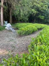 Load image into Gallery viewer, 自然栽培 2024 新茶 広島在来清茶 2024-514 NO.445 - TEA FACTORY GEN