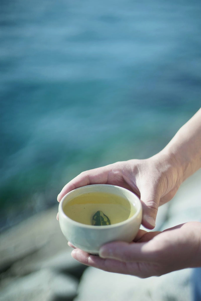 広島在来浜茶（低カフェイン） – TEA FACTORY GEN