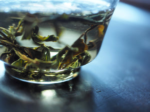 自然栽培 広島在来 手摘み和紅茶 2021(528-1) - TEA FACTORY GEN